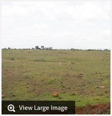 Land & Plots